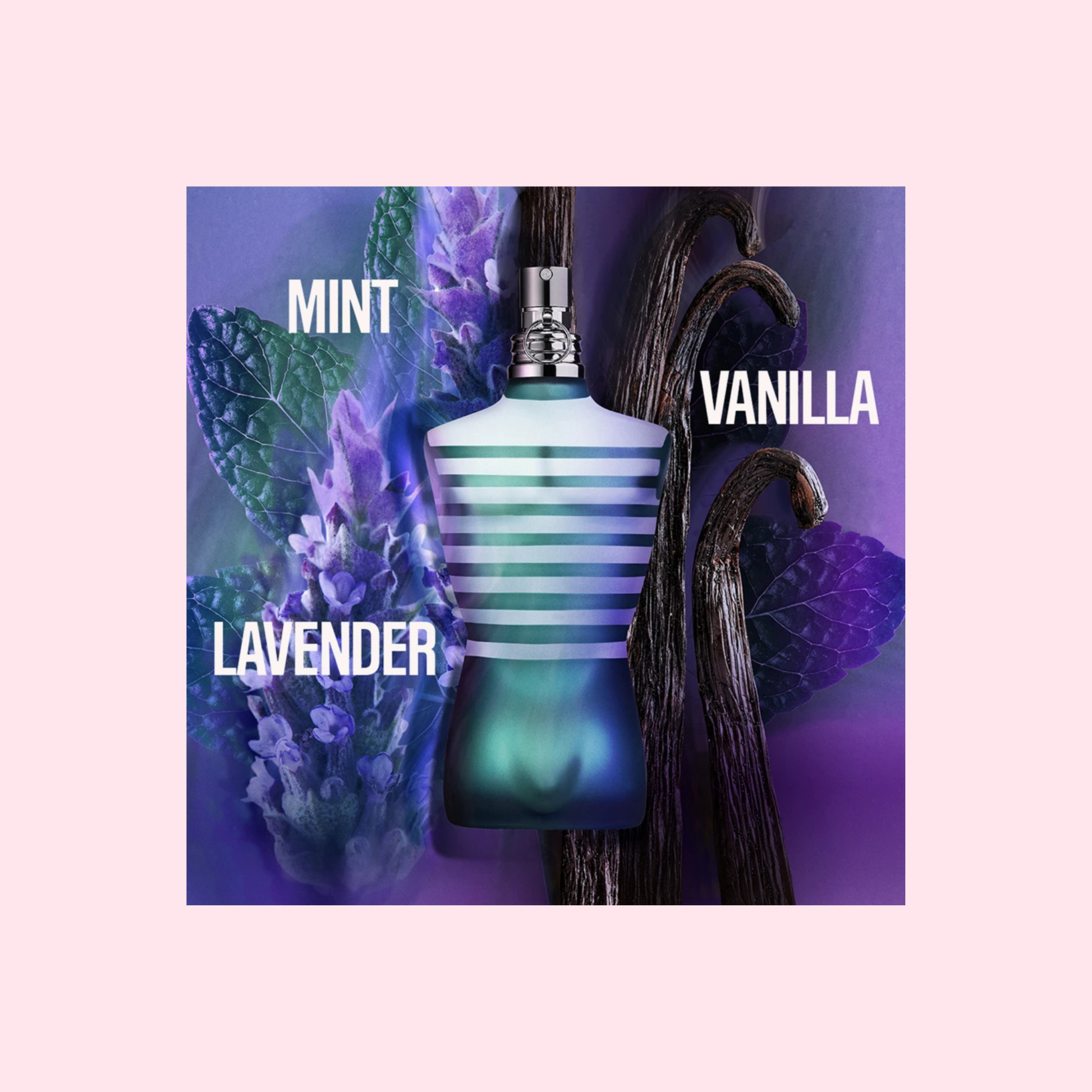 Jean Paul Gaultier - Le Male EdT